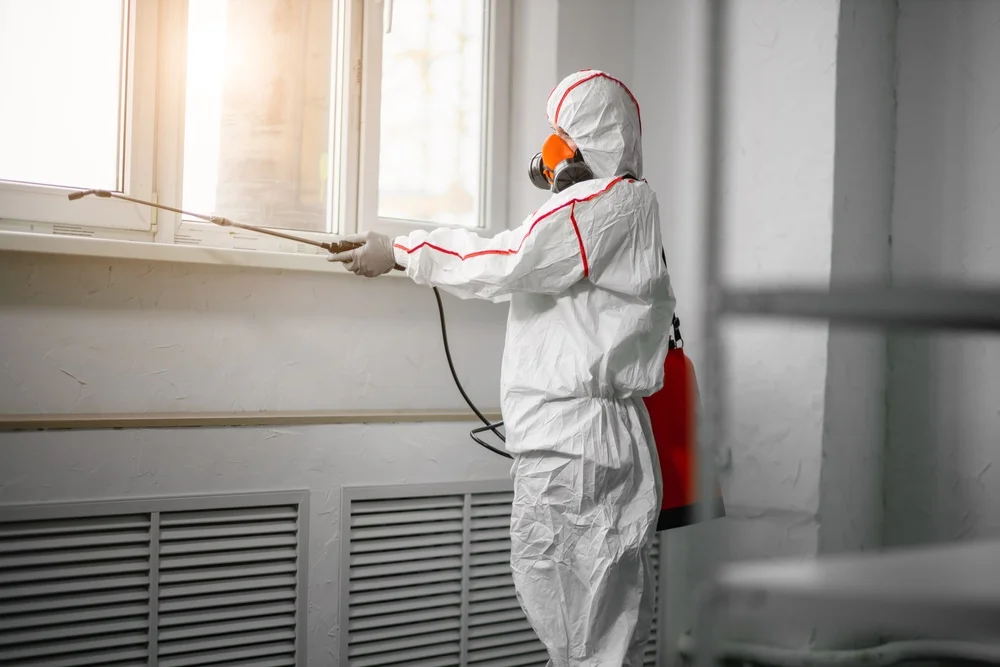 Professional mold remediation services in Hartsdale, NY